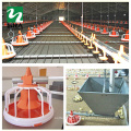 Cheap Price Customized automatic broilers drinking and feeding system